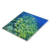 Schule der Schwimmen bluelined Rotbarsche Fliese (Seite)