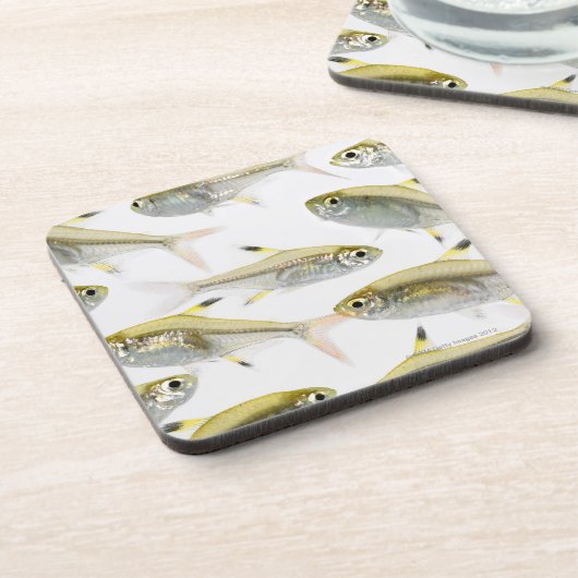 Schule der Tetra- Fische des Röntgenstrahls Getränkeuntersetzer (Linke Seite)