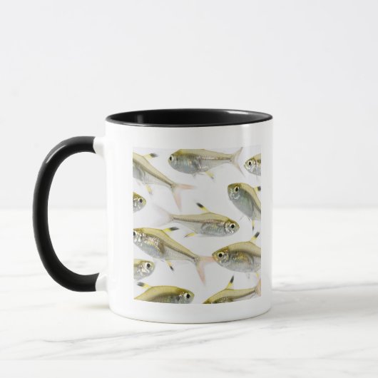 Schule der Tetra- Fische des Röntgenstrahls Tasse (Links)