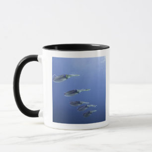 Schule des Tintenfischs in den Karibischen Meeren Tasse