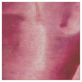 Schule Fontainebleau - Gabrielle d'Estrees Stoff (Nahaufnahme)