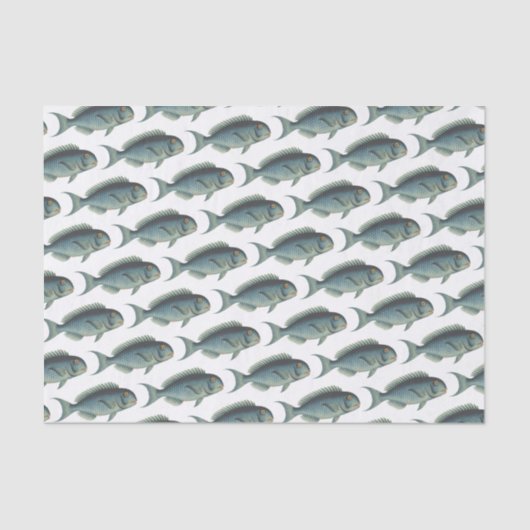 Schule für Aquamarine Vintage Fischfangmuster Seidenpapier (Vorderseite)