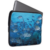 Schule für gestreiften Fisch Laptop-Sieb Laptopschutzhülle (Vorne Rechts)
