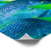 Schule für Schnapper Poster (Ecke)