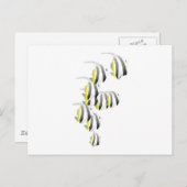 Schule für tropischen Fisch Postkarte (Vorne/Hinten)