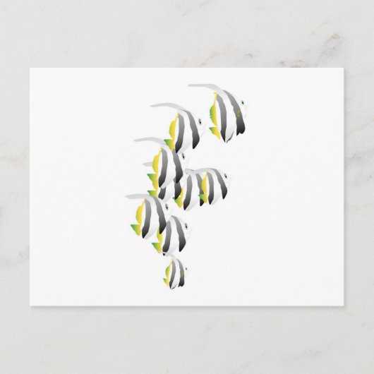 Schule für tropischen Fisch Postkarte (Vorderseite)