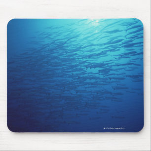 Schule von Fischen 12 Mousepad