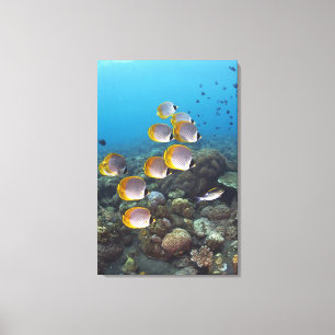 Schule von Fischen 2 Leinwanddruck