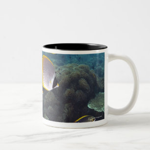 Schule von Fischen 2 Zweifarbige Tasse