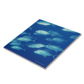 Schule von Fischen 4 Fliese (Seite)