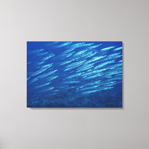 Schule von Fischen 4 Leinwanddruck