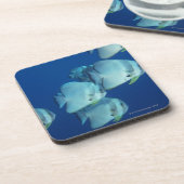 Schule von Fischen 5 Getränkeuntersetzer (Linke Seite)