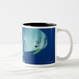 Schule von Fischen 5 Zweifarbige Tasse