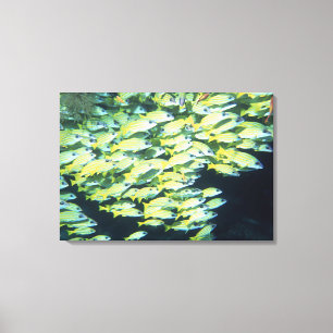 Schule von Fischen 7 Leinwanddruck
