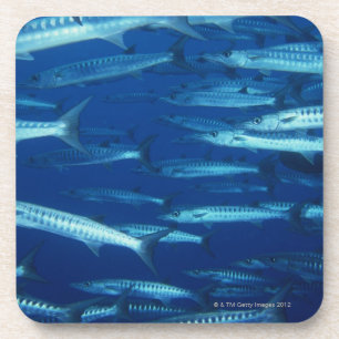 Schule von Fischen 9 Getränkeuntersetzer