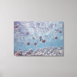 Schule von Fischen 9 Leinwanddruck