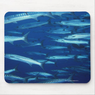 Schule von Fischen 9 Mousepad
