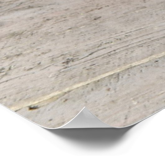 Schülerplakat Poster (Ecke)