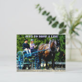 Schulferd Postkarte (Stehend Vorderseite)