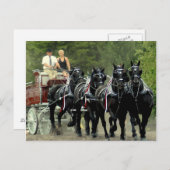 Schulferd Postkarte (Vorne/Hinten)