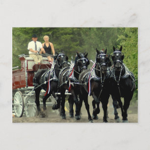 Schulferd Postkarte