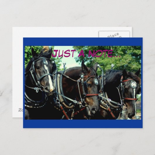 Schulferd Postkarte (Vorne/Hinten)