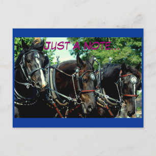Schulferd Postkarte