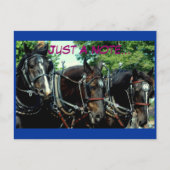 Schulferd Postkarte (Vorderseite)