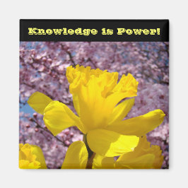 Schullocker Magnete Wissen ist Power! Magnet