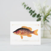 Schulmeister Postkarte (Stehend Vorderseite)