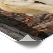 SCHULREGELN DER OBEY. POSTER (Ecke)