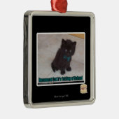 Schultag Silbernes Ornament (Rechts)