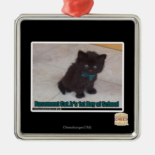 Schultag Silbernes Ornament (Vorne)