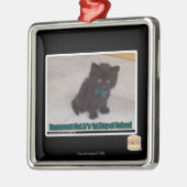 Schultag Silbernes Ornament (Links)