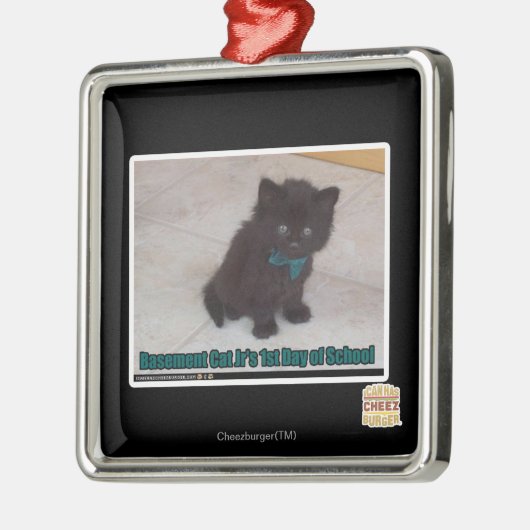 Schultag Silbernes Ornament (Links)