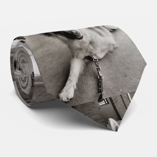 Schultage Krawatte (Gerollt)