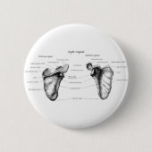 Schulterblatt-Details Button (Vorderseite)