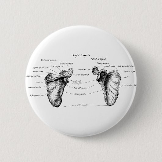 Schulterblatt-Details Button (Vorderseite)