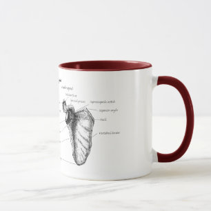 Schulterblatt-Details Tasse