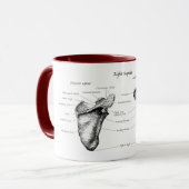 Schulterblatt-Details Tasse (Vorderseite Links)