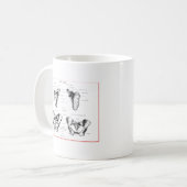Schulterblatt-Pelvis-Details Kaffeetasse (Vorderseite Links)