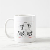 Schulterblatt-Pelvis-Details Kaffeetasse (Links)