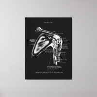 Schultergelenk Anatomy Medical Wall Decoder