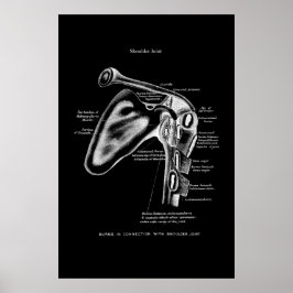 Schultergelenk Anatomy Medical Wall Decoder Poster