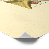 Schultergelenk-Knochen drucken Poster (Ecke)
