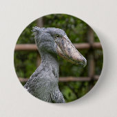 Schuppen (Balaeniceps rex) Button (Vorderseite)