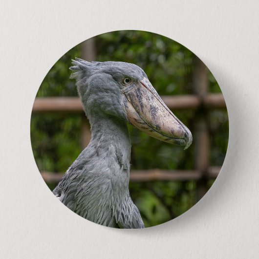 Schuppen (Balaeniceps rex) Button (Vorderseite)