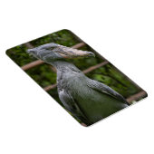 Schuppen (Balaeniceps rex) Magnet (Rechte Seite)