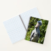 Schuppen (Balaeniceps rex) Notizblock (Innenseite)