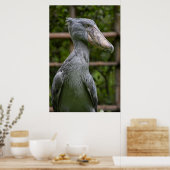 Schuppen (Balaeniceps rex) Poster (Küche)